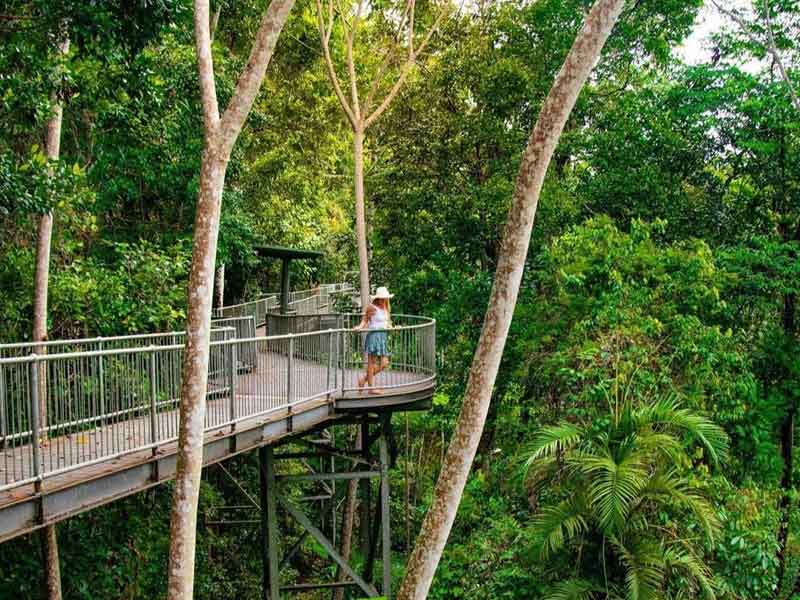 Mamu Tropical Skywalk
