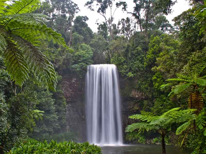 Millaa Millaa Falls
