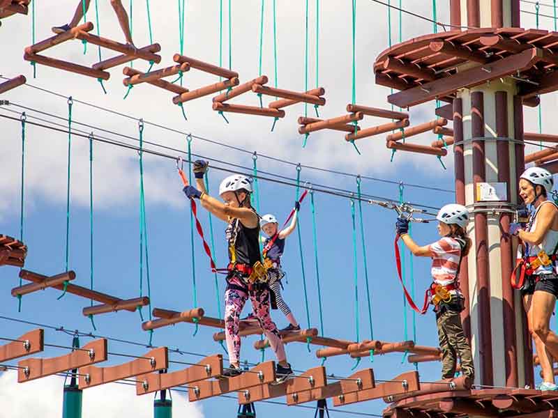 Next Level - High Ropes Adventure Park