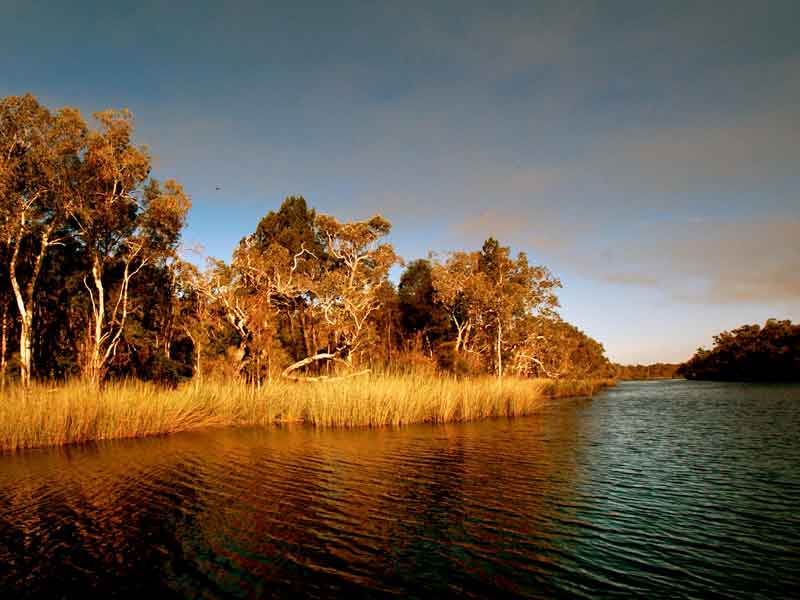 Noosa Everglades