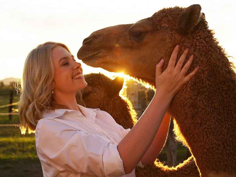 QCamel