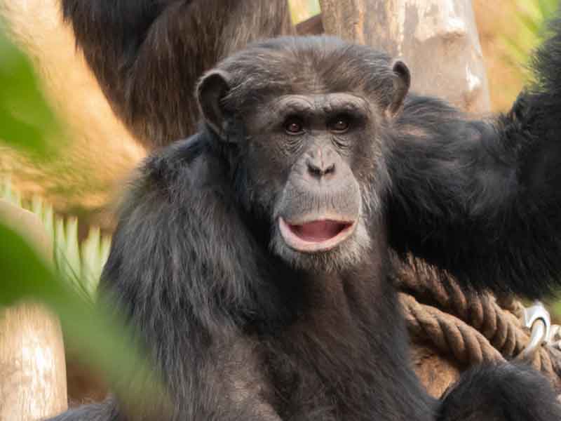 Rockhampton Zoo