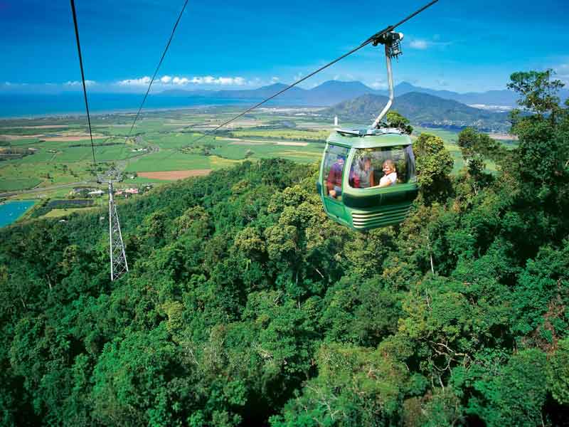 Skyrail Rainforest Cableway