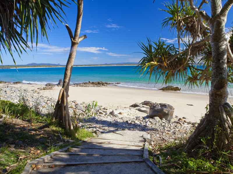 Tea Tree Bay