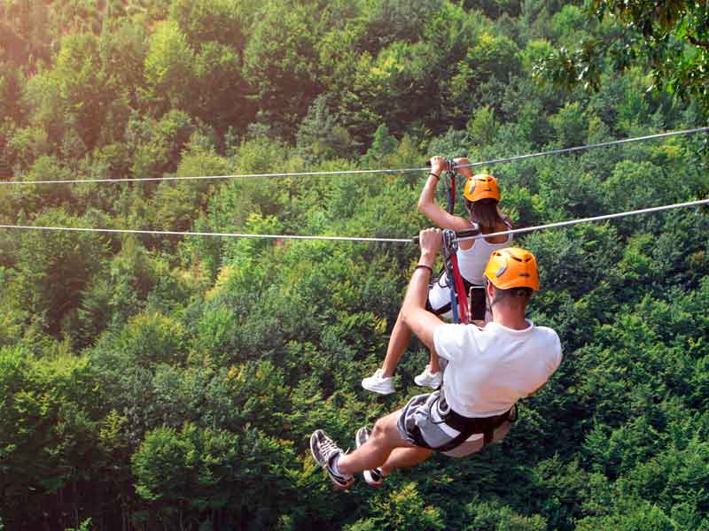 Thunderbird Park TreeTop Challenge
