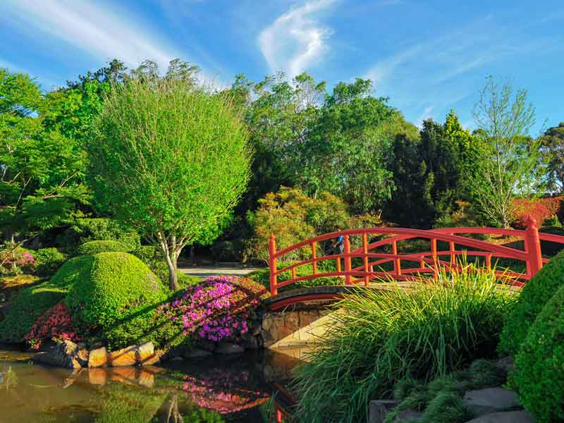 Toowoomba Japanese Gardens