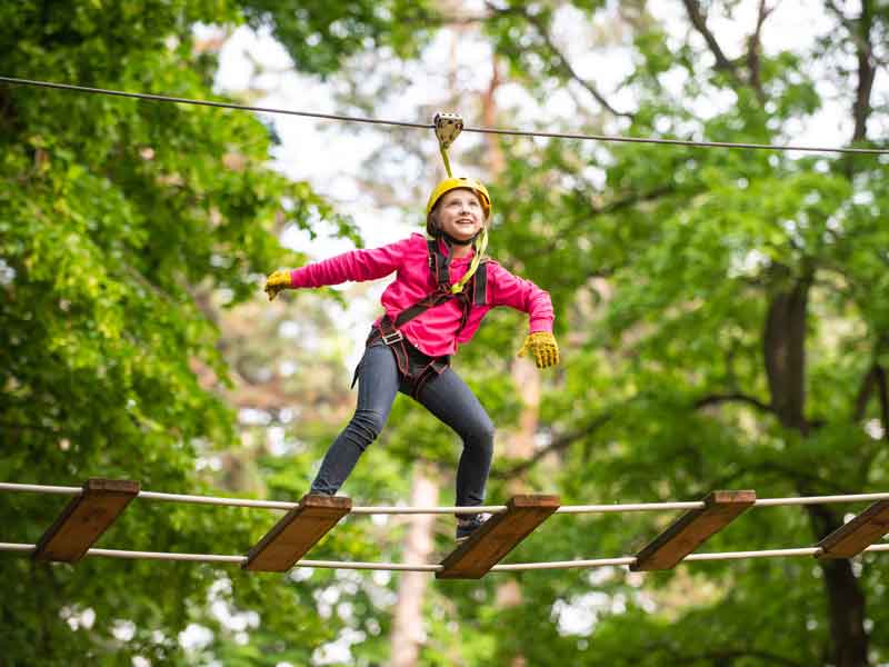 TreeTop Challenge Sunshine Coast