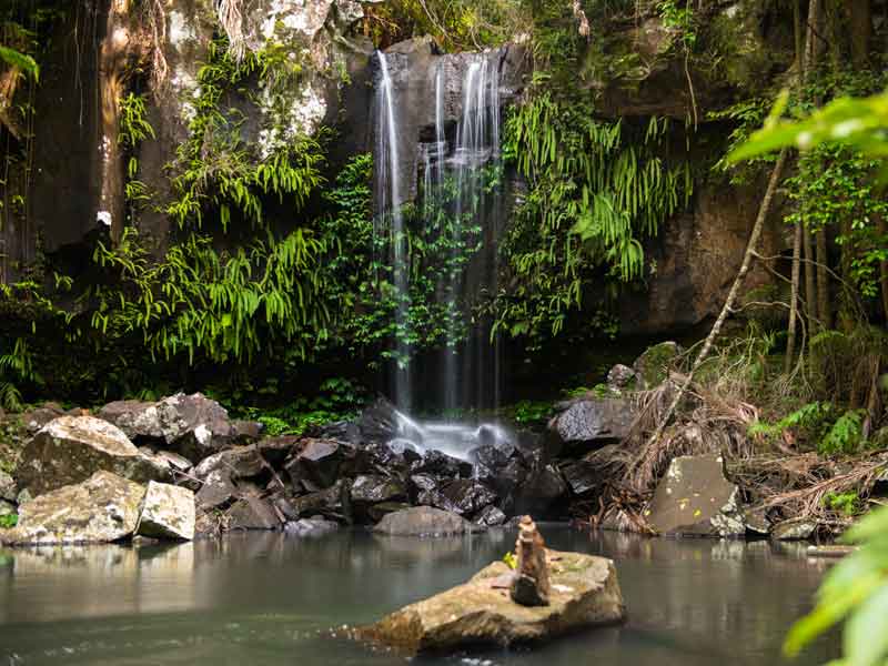 Curtis Falls Track Tamborine National Park