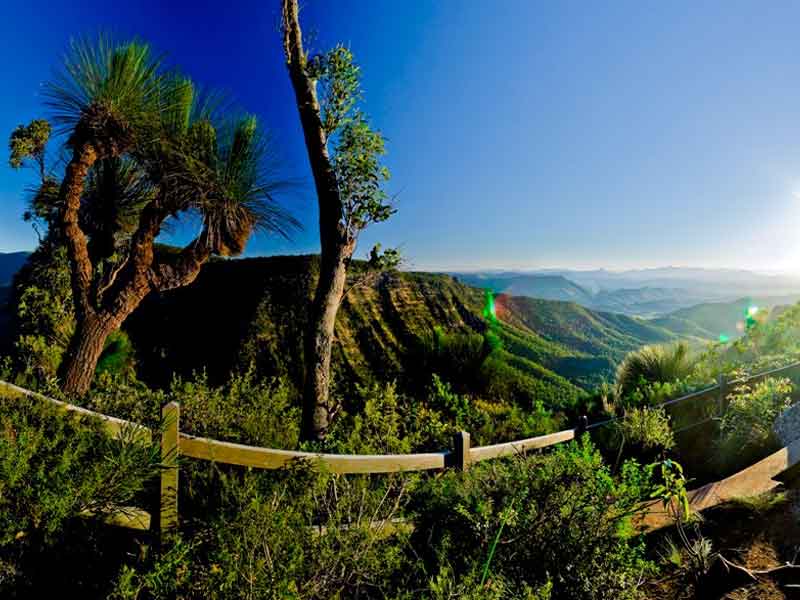 O'Reilly's Rainforest Retreat