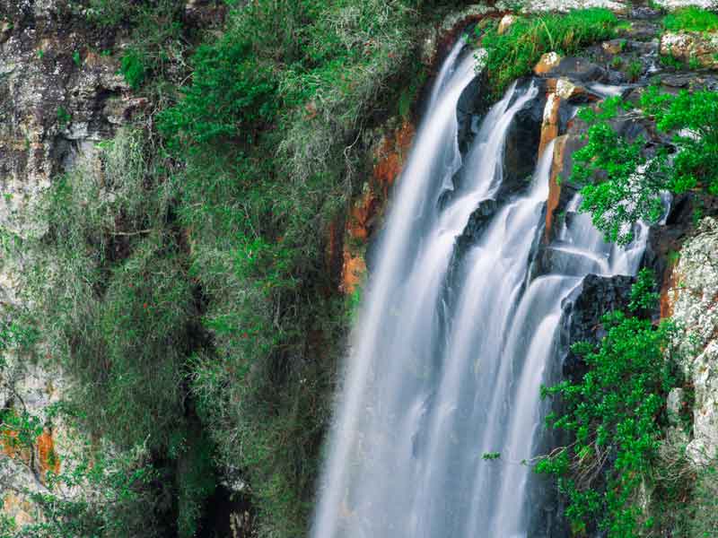 Purling Brook Falls Gold Coast Queensland