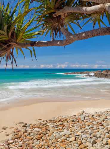 Sunshine Coast Theme Parks