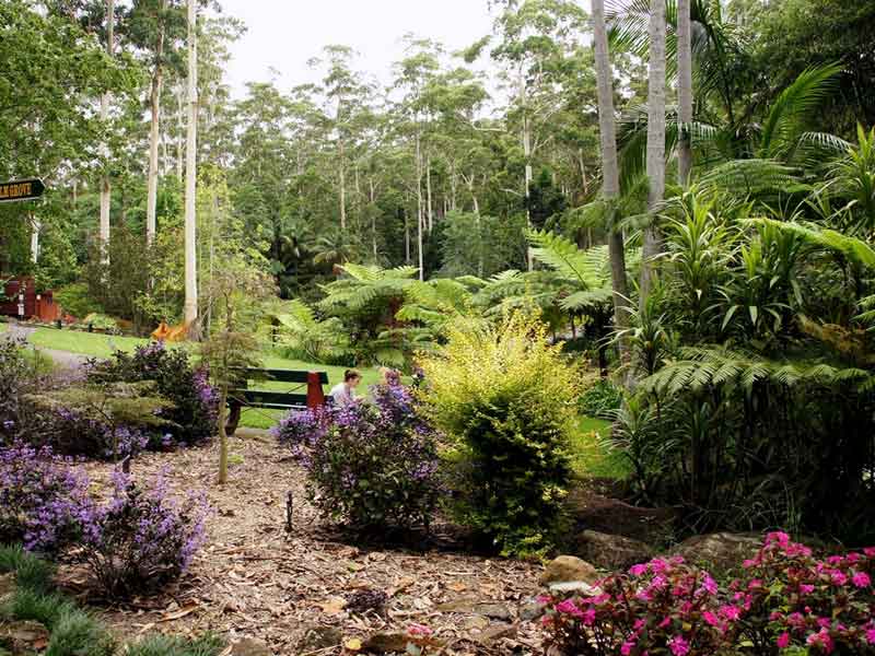 Tamborine Mountain Botanic Gardens