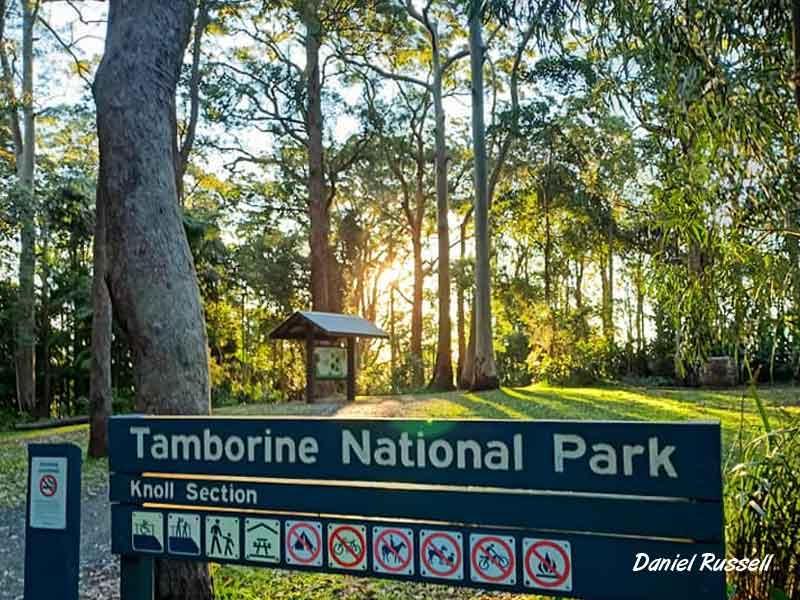 Tamborine National Park Gold Coast Hinterland