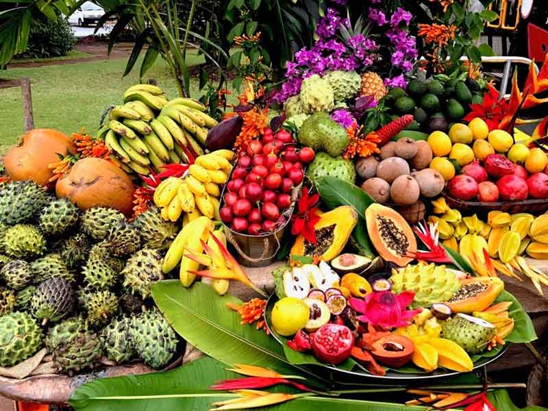 Tropical Fruit World