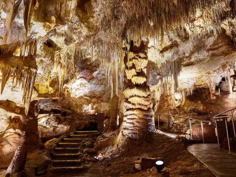 Tantanoola Caves Conservation Park