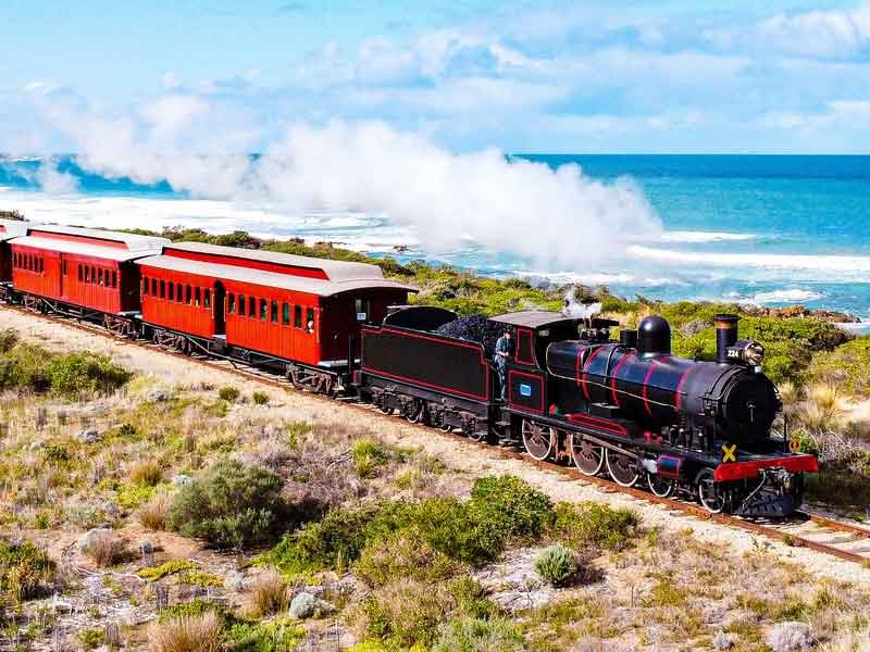 Cockle Train South Australia