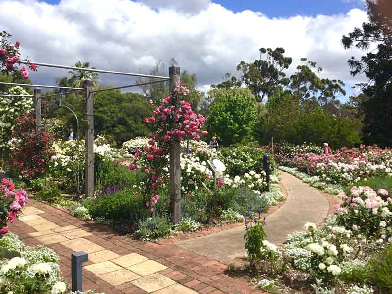 Urrbrae House Gardens
