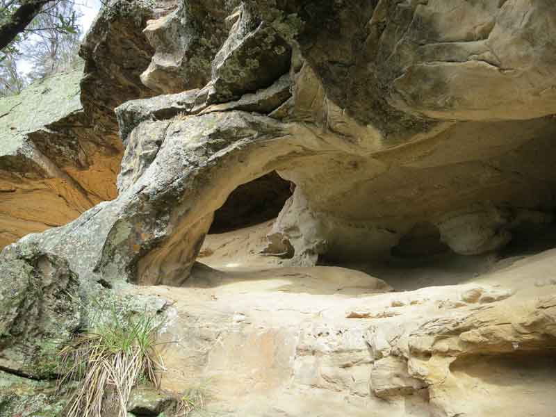 Chauncy Vale Wildlife Sanctuary