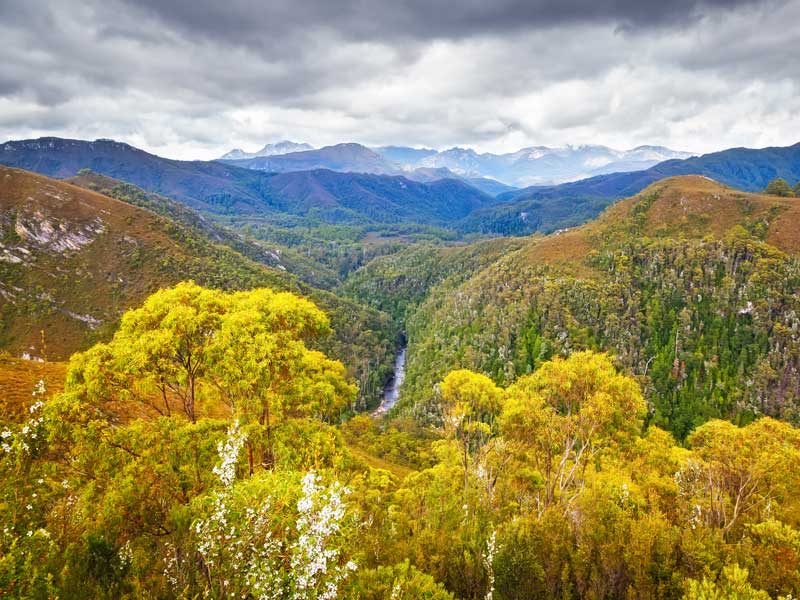 Franklin-Gordon Wild Rivers National Park Tasmania