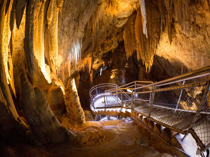 Hastings Caves State Reserve Tasmania