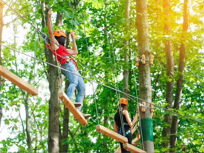 Hollybank Wilderness Adventures Tasmania