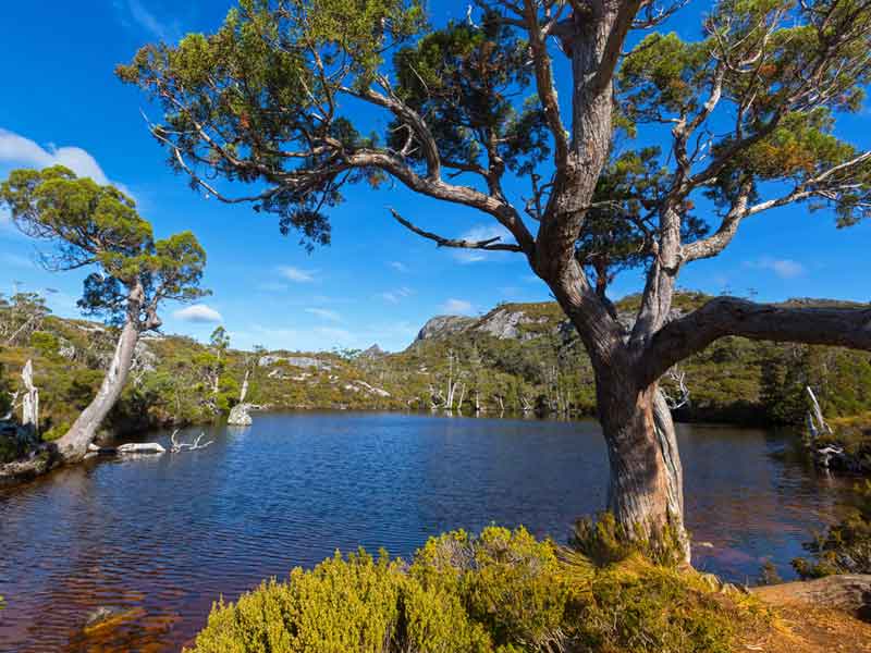 Lake St Clair National Park Tasmania