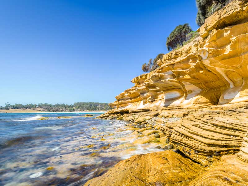 Maria Island National Park Tasnmania