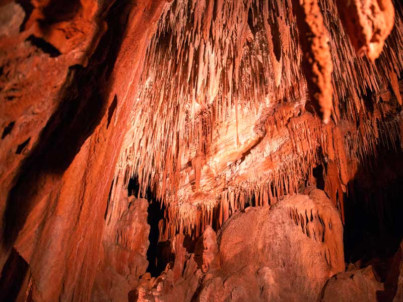 Mole Creek Caves Tasmania