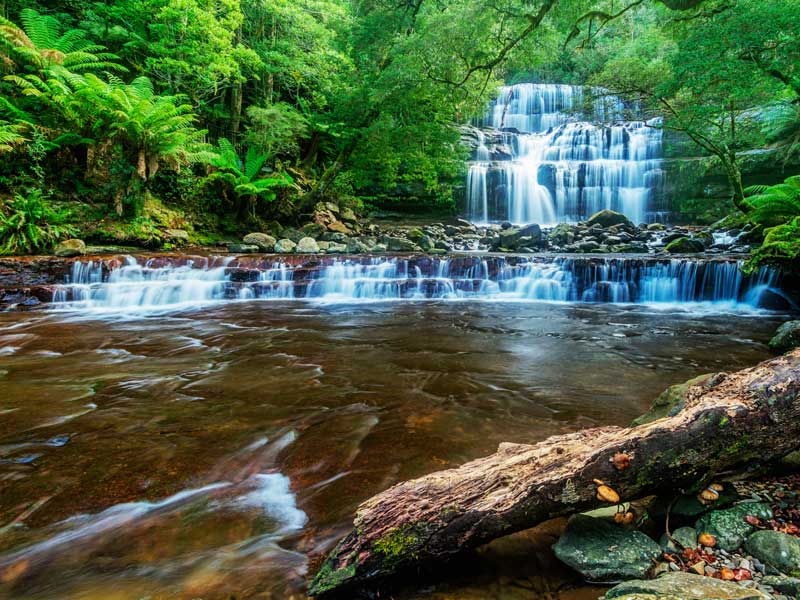 Mole Creek Karst National Park Tasmania