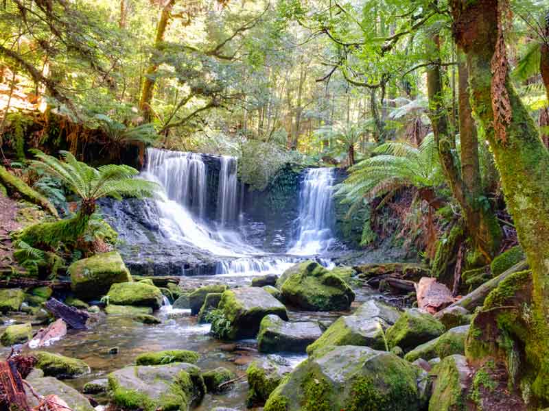 Russell Falls Tasmania