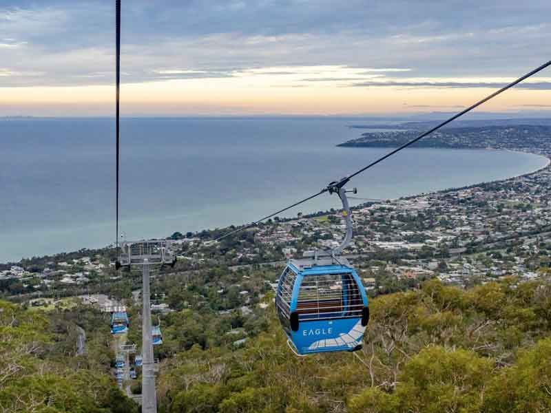Arthurs Seat Eagle Victoria