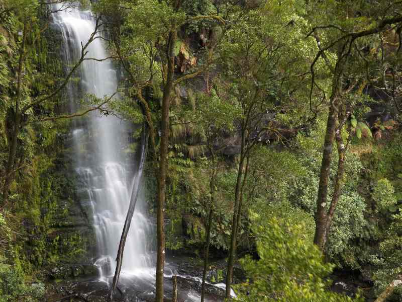 Erskine Falls