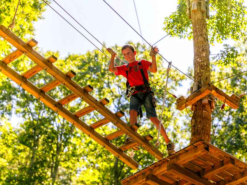 Live Wire Adventure Park