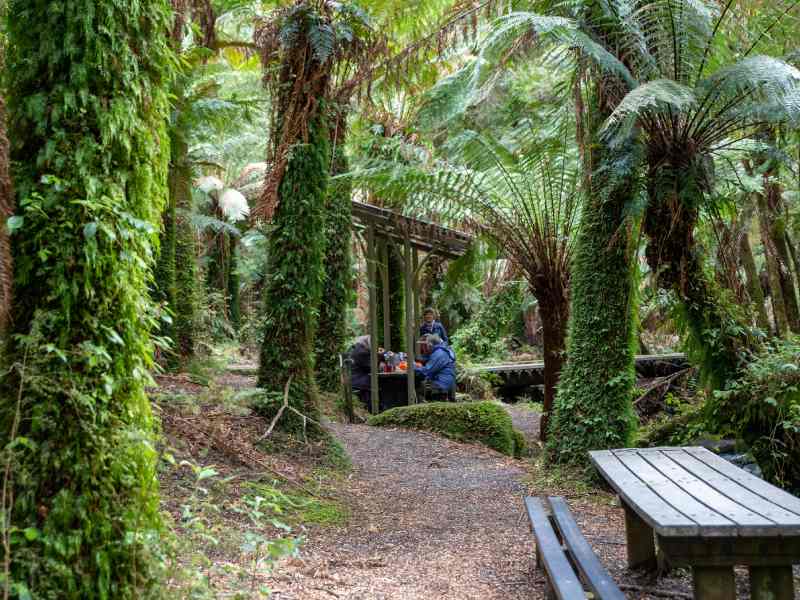 Tarra-Bulga National Park