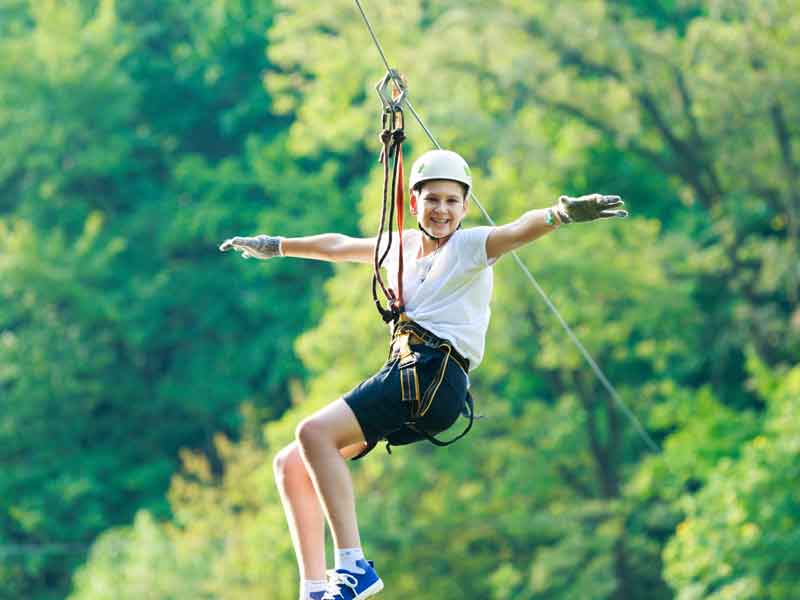 Treetops Adventure Dandenong Ranges