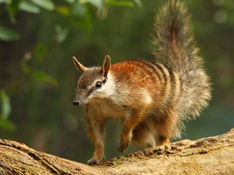 Newhaven Wildlife Sanctuary