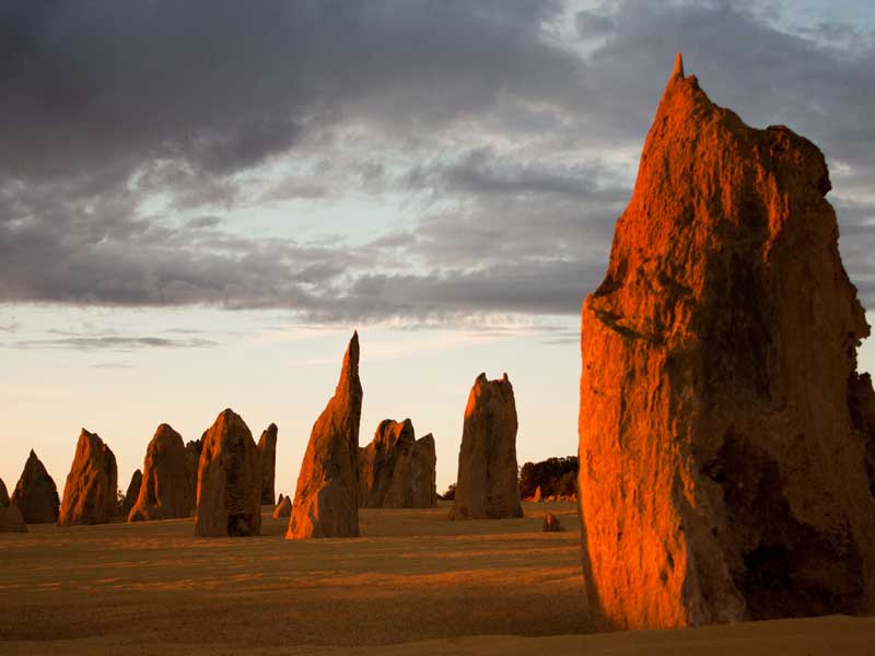 The Pinnacles Western Australia